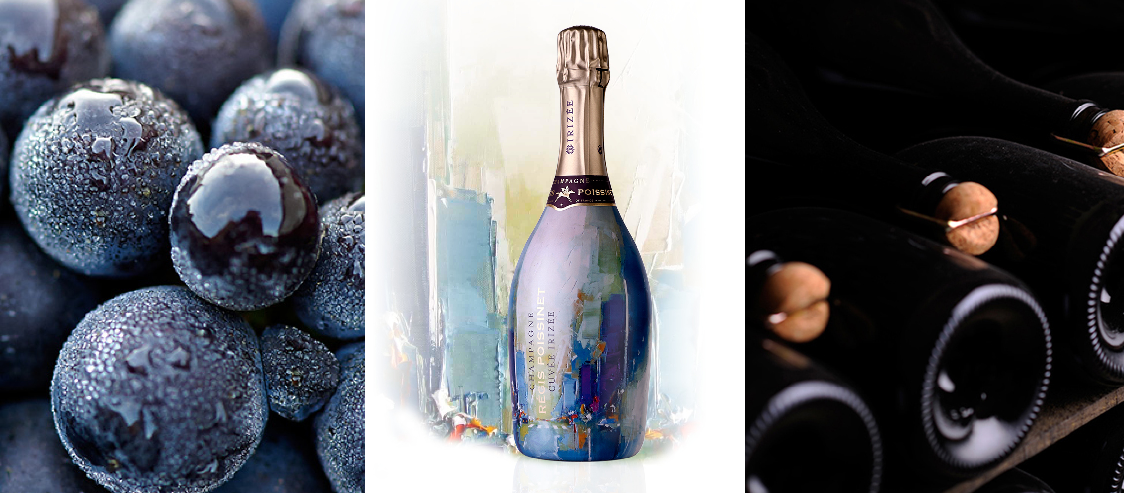 bannière de 3 images : baie de raisin du cépage meunier, bouteille irizée meunier (peinture) et bouteilles allongés avec gros bouchon tenu par une agrafe (vinification sous liège)